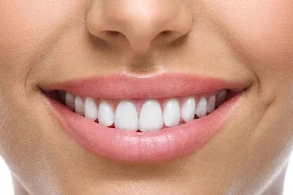 tipos de dientes
